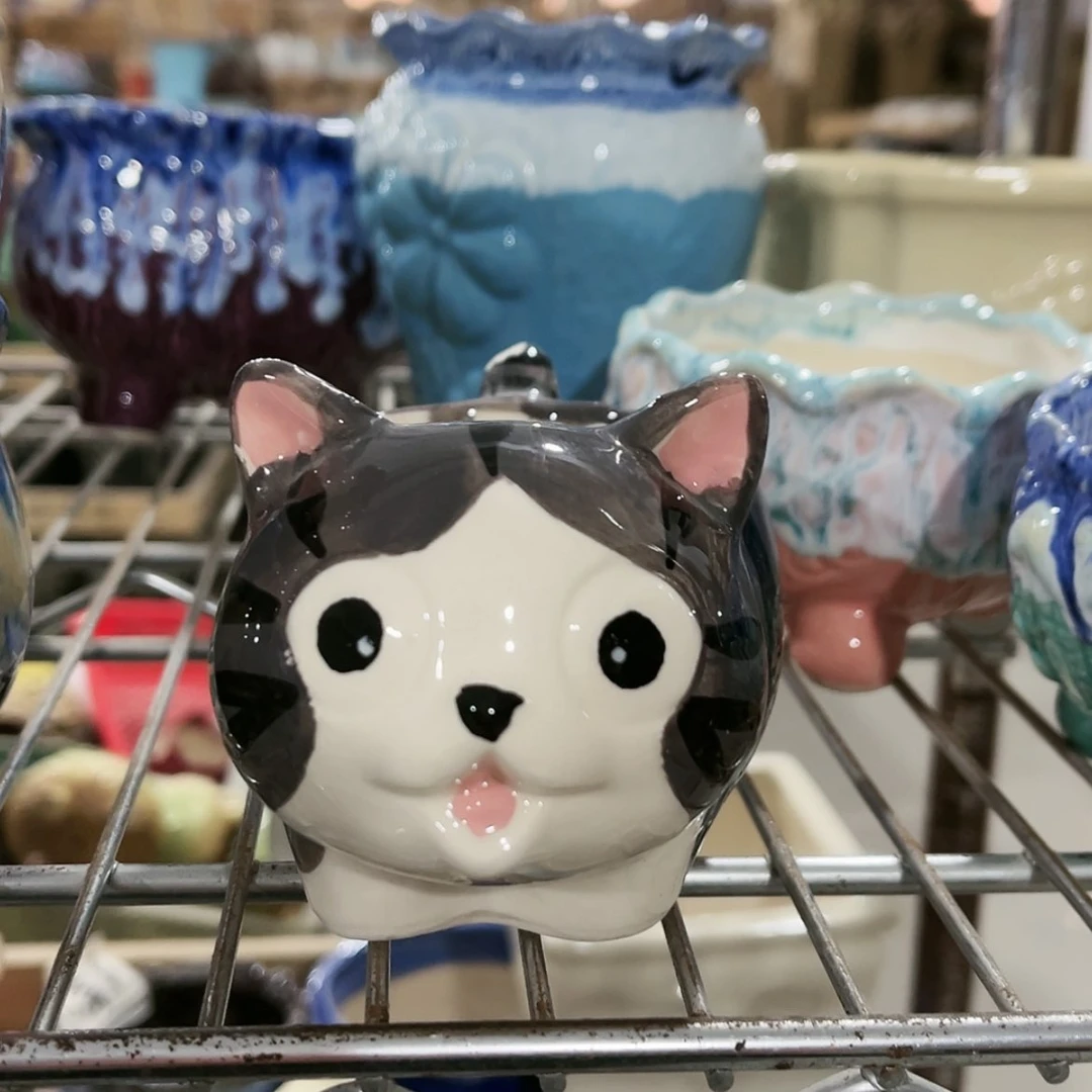 【闪购商品】红陶15cm以下