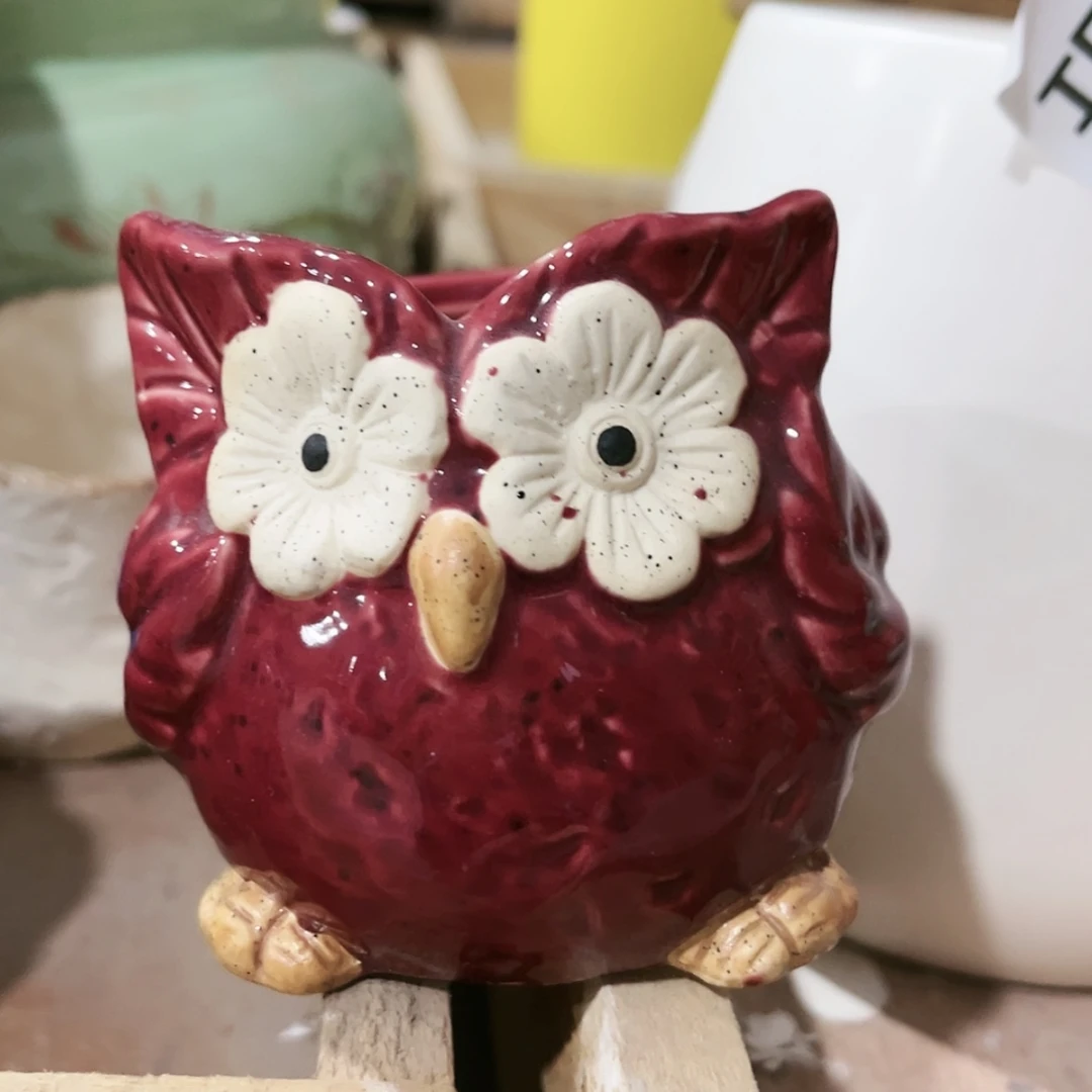 【闪购商品】红陶15cm以下