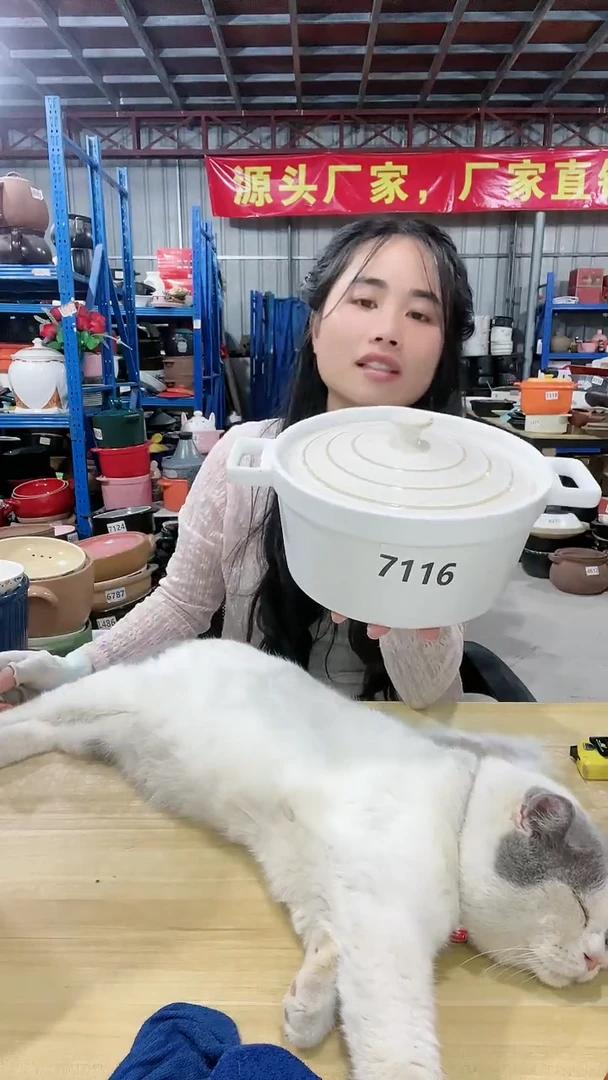 【闪购商品】7116瑕疵2.5白锅带盖色差