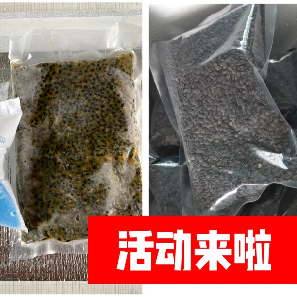 【活动】百香果果肉籽 百香果干籽 每袋/瓶 500g