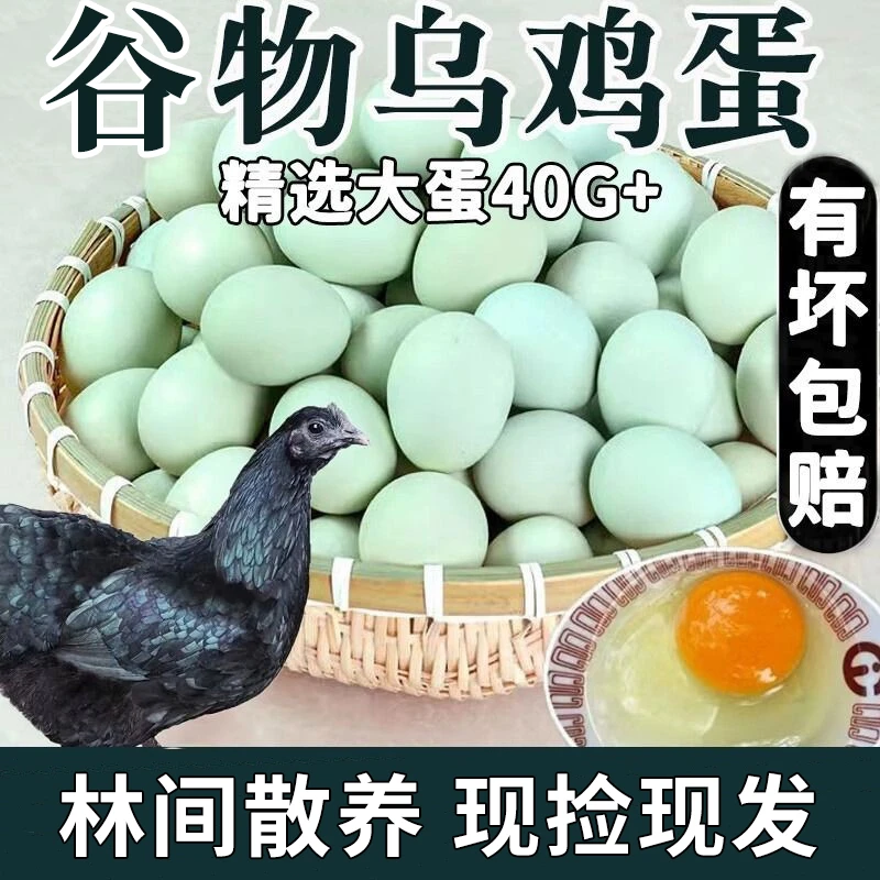 绿壳乌鸡蛋正宗农家谷物散养土鸡蛋40枚破损包赔