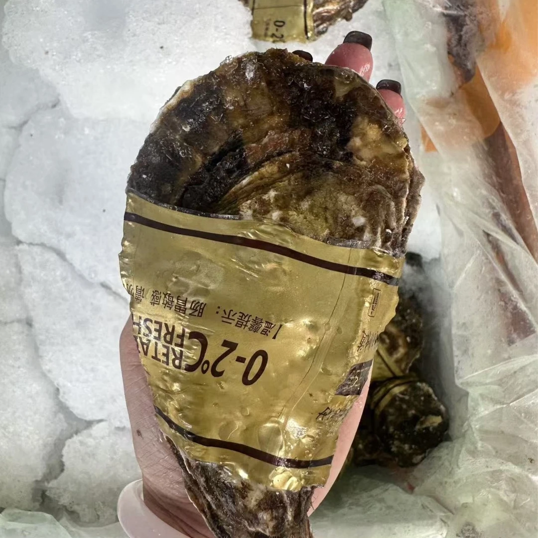 高压锅蒸生蚝4两+南泓村乳山生蚝 10个装