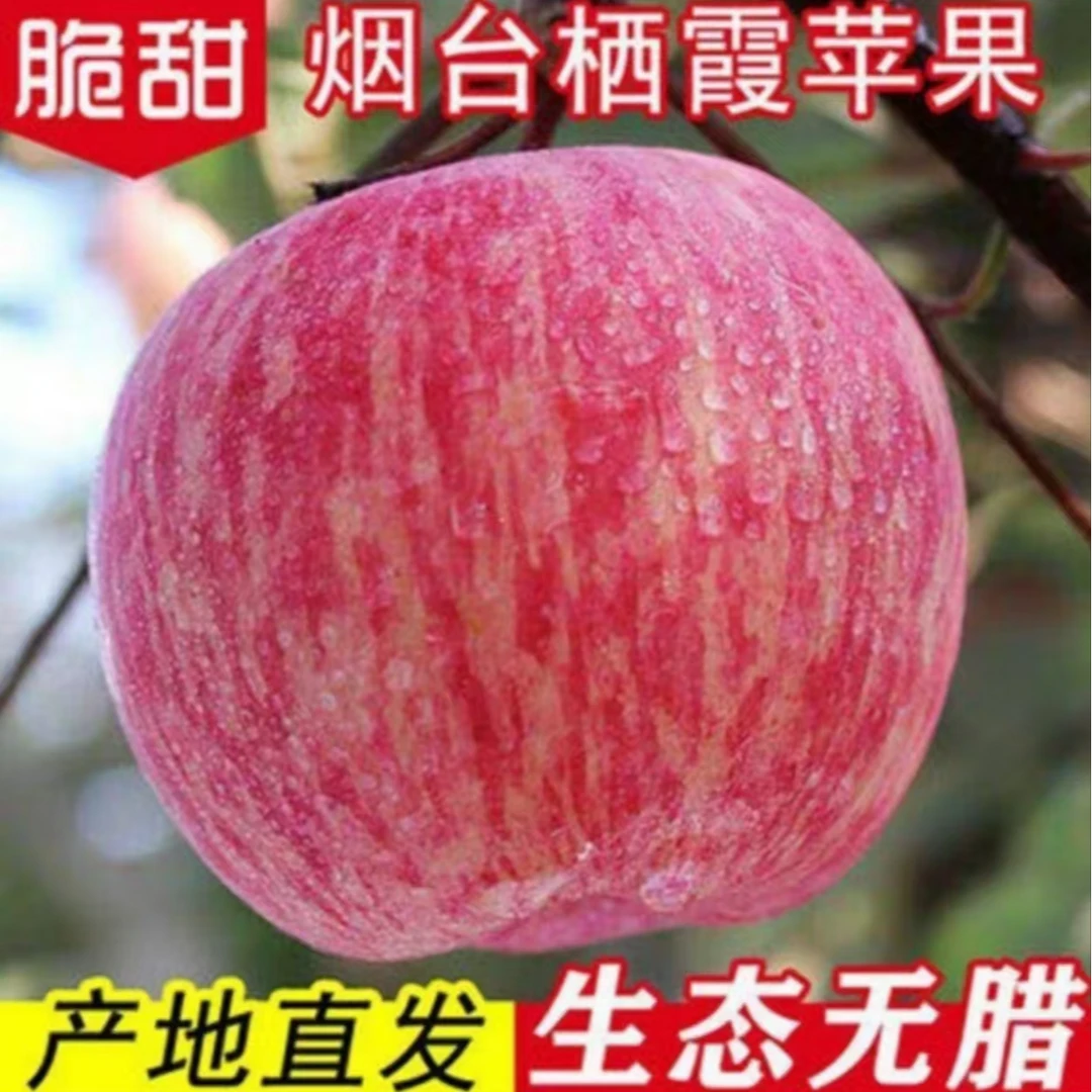 【正宗烟台红富士新鲜脆甜大苹果】当季现摘现发脆甜汁水果带箱10斤