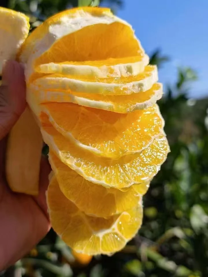 正宗赣南信丰脐橙 原产地直发 一箱6斤装 皮薄多汁 清甜可口