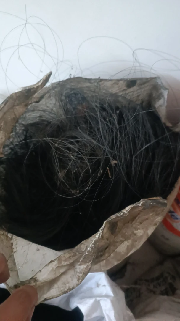 钼电线  钼切割丝