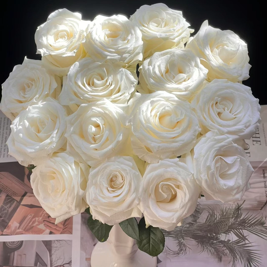 【骄傲玫瑰】高级典雅白色鲜花云南基地水养瓶插花摆件生日节日花束