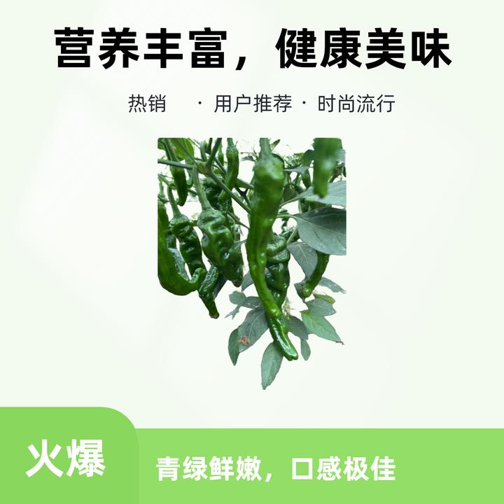 新鲜小皱皮辣椒现摘现发薄皮青椒特辣爆辣菜园直发香脆土辣椒自种