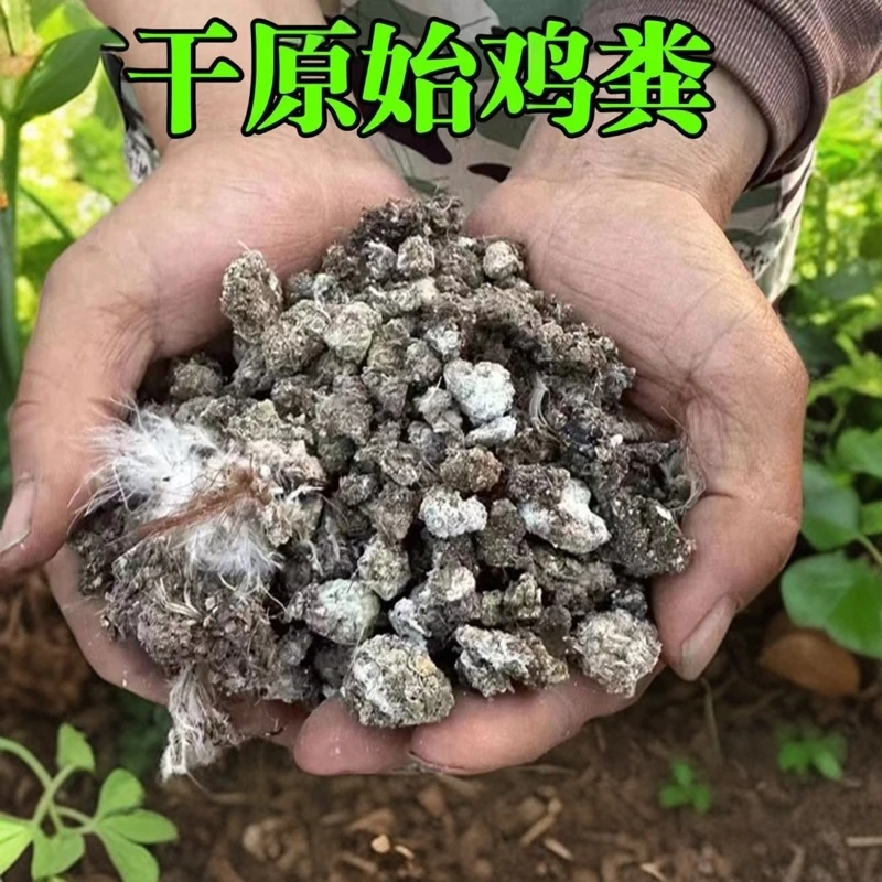 天然纯干鸡粪有机农家肥料播种花蔬菜果树适用富含氮磷钾促进生长