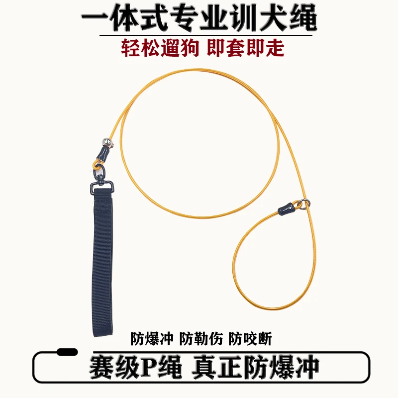 宠物牵引绳狗狗项圈小型犬防爆冲遛狗绳中大型犬p绳防脱训犬p链