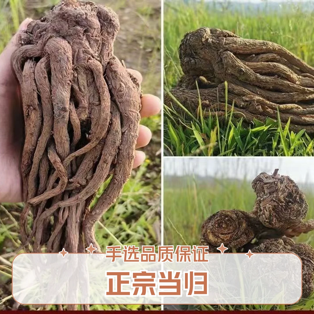 甘肃岷县正宗当归整条原产地直发手选新货