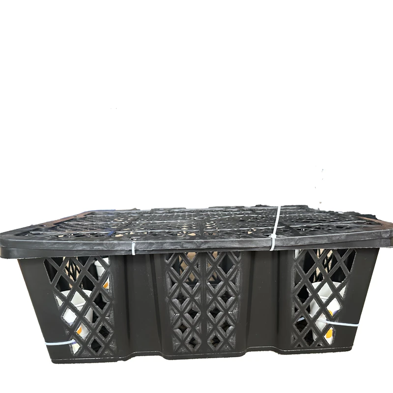 【4个全场任选】鸡笼周转箱家用大号 养殖运输鸡鸭鹅笼