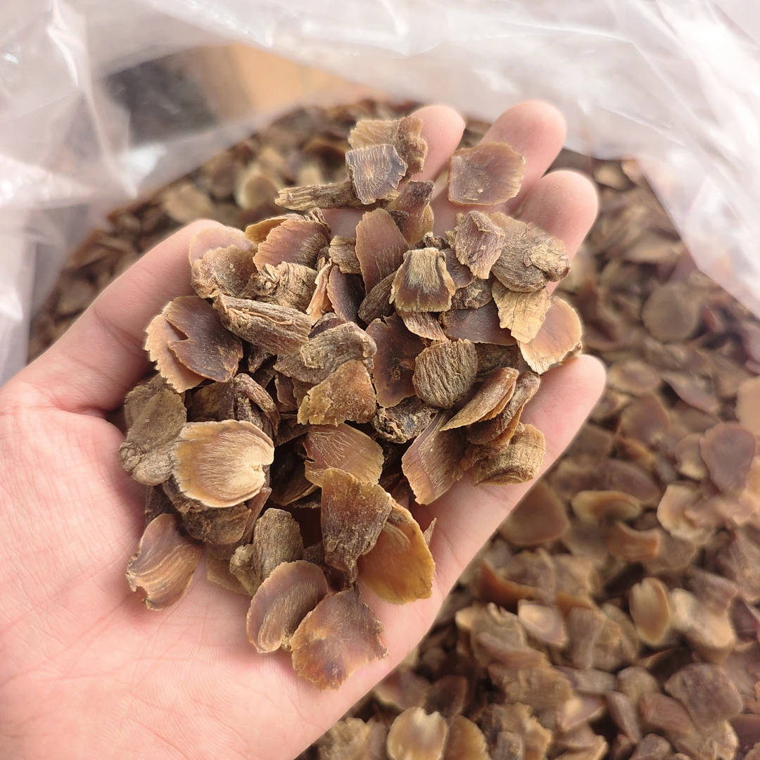 ［148厚片髙丽角］可泡水可煲汤