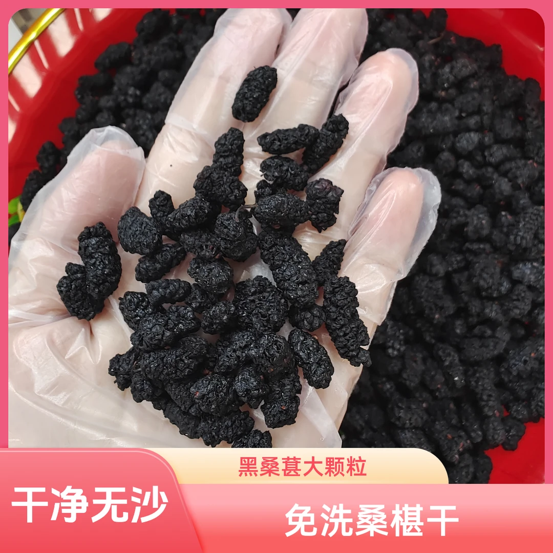 ［桑椹干］500g干净无沙免洗桑葚干黑桑葚大颗粒泡水泡茶