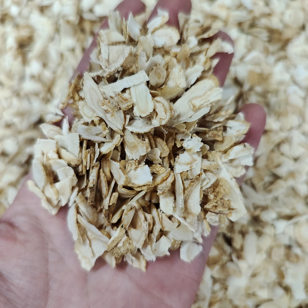 ［98元西洋参］西洋参角