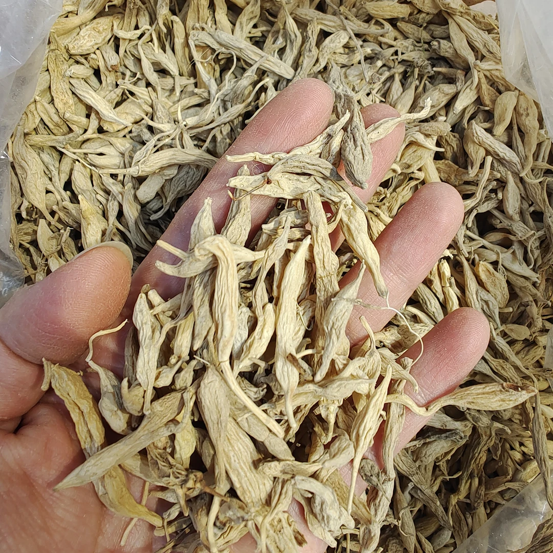 [78野生麦冬]小颗，渣可以吃皱皱的但是煮完会膨起来