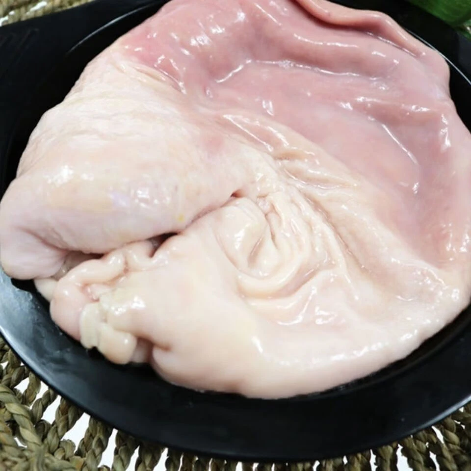 【美誉直播专属】优质新鲜精品猪肚清远走地鸡