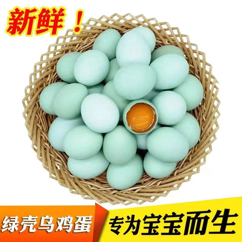 乌鸡绿壳蛋健康正宗树林散养新鲜绿壳山鸡蛋草鸡蛋笨鸡蛋