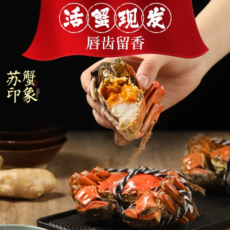 【活蟹】苏蟹印象全母2.3-2.5两10只 顺丰鲜达新鲜活蟹 礼盒包装