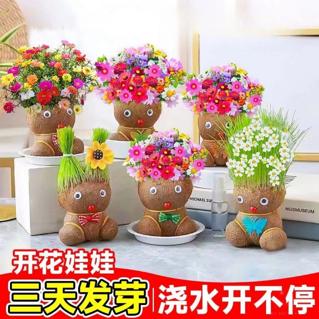 草头娃娃可爱小盆栽头上长草小植物浇水长草娃娃绿植儿童观察生长