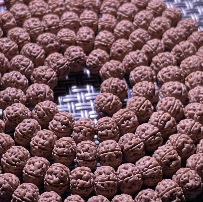 定制级一代纯血老树王108小金刚终结者品质三遍下水精选一条毕业