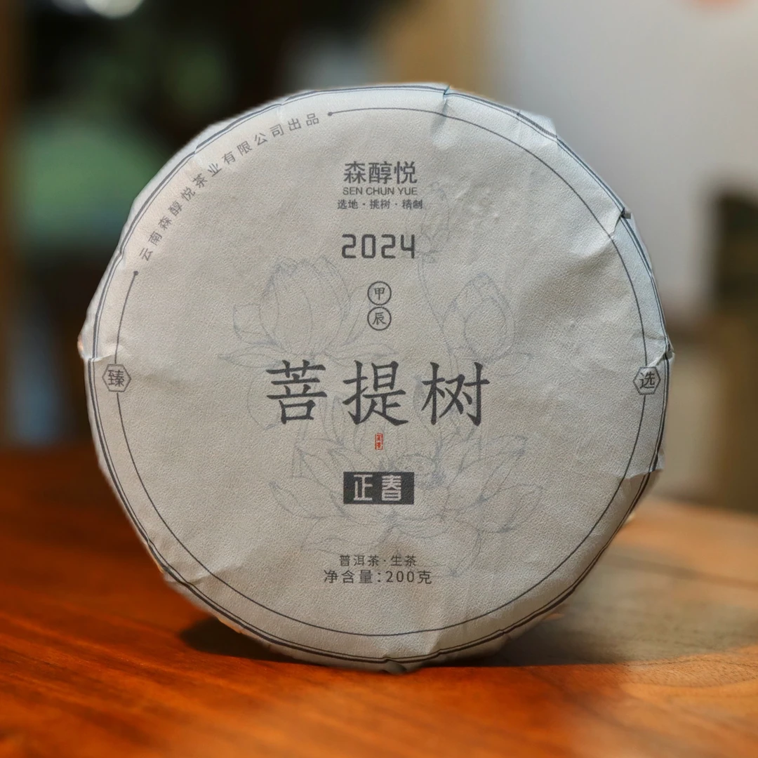 森醇悦2024正春茶菩提树古树纯料云南普洱茶茶叶