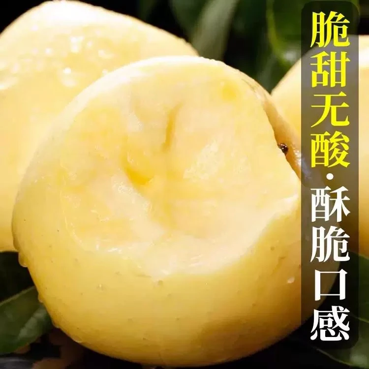 大凉山黄金维纳斯苹果脆甜多汁新鲜水果冰糖心奶油色