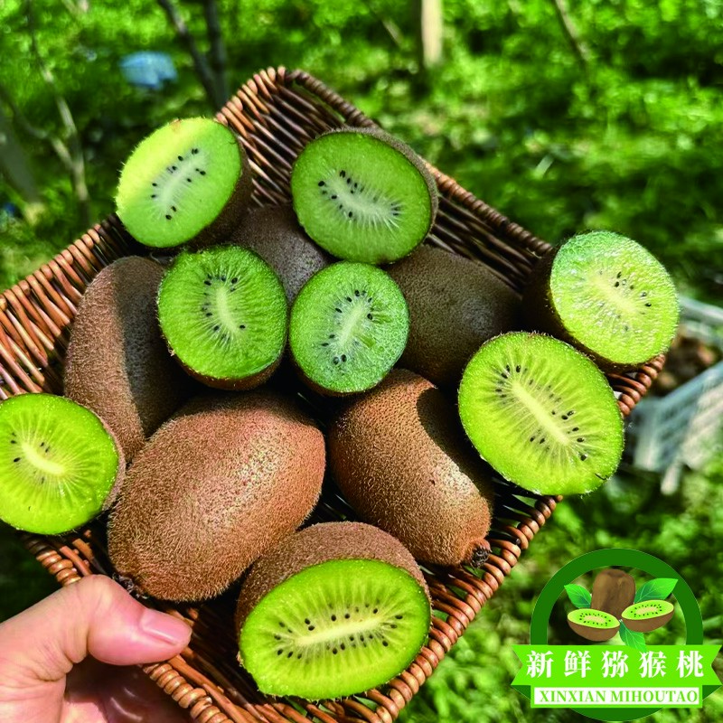 陕西眉县猕猴桃现摘现发新鲜维c丰富营养