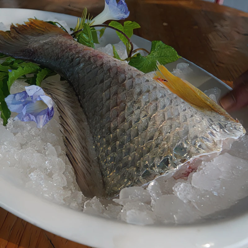 白花鱼尾 可清蒸 红烧 每条独立包装 新鲜发货