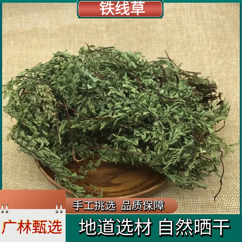 铁线草精选正品铁丝草 铁线蕨农家自然晒干散装250g-500g非金钱草