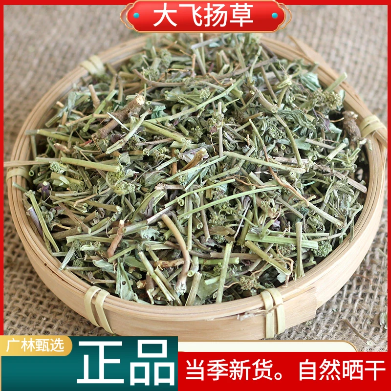 飞扬草正品野生新货大飞扬草节节花干货散装250g-500g另有鱼腥草