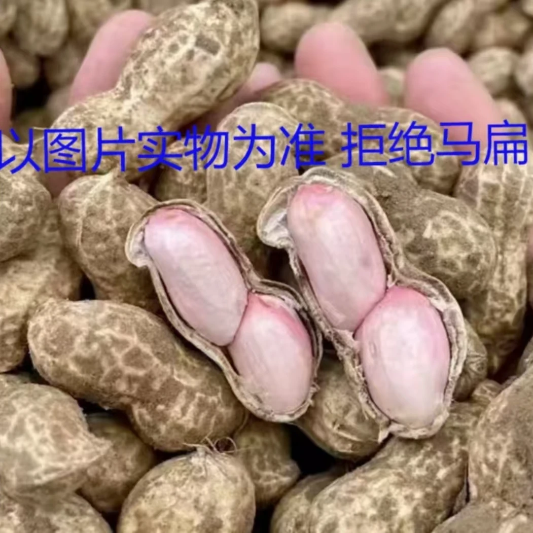新鲜湿花生农家种植现挖颗粒饱满甘甜带壳花生5斤可水煮