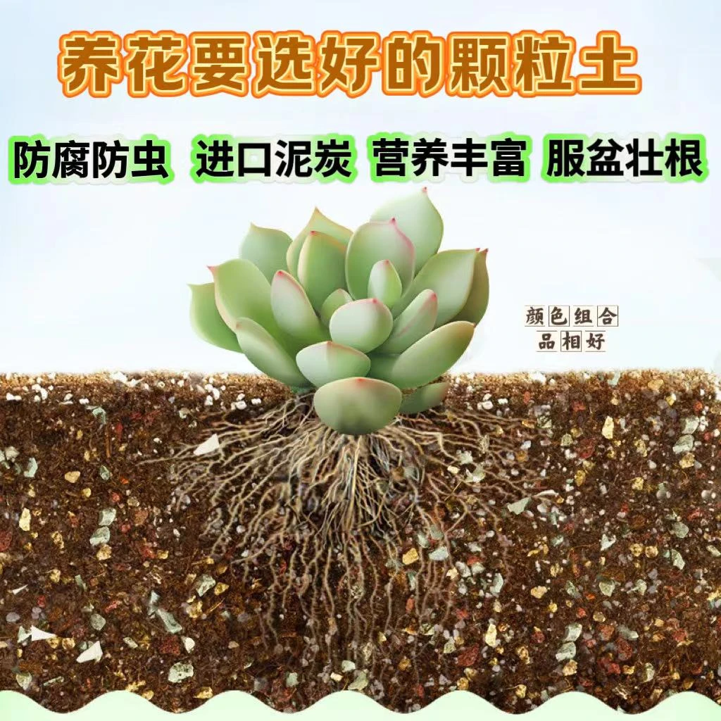通用纯颗粒土进口泥炭种植土盆栽植物盆景花卉及多肉类专用介质土