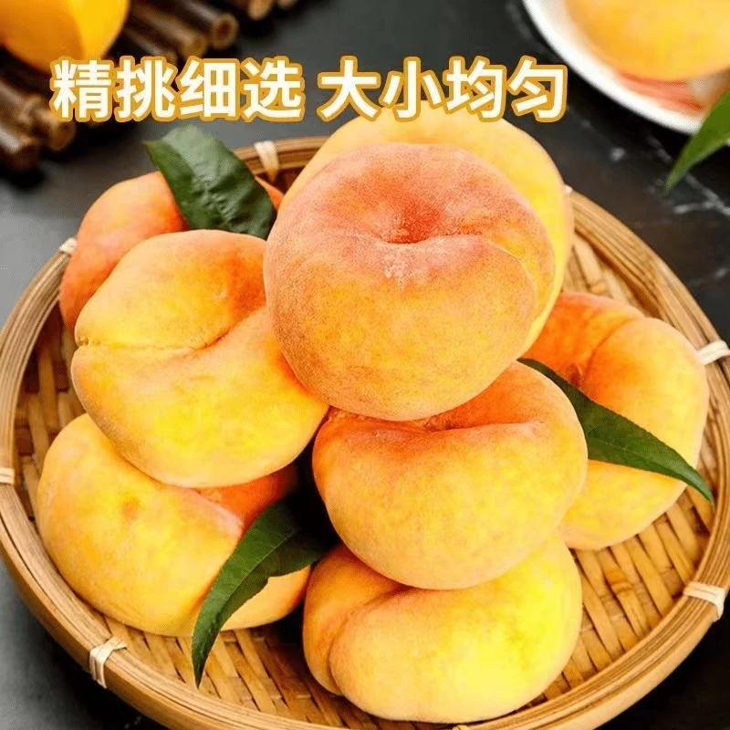 【原产地直发】蒙阴黄金毛蟠桃头茬尝鲜超大果纯甜无酸品质优选