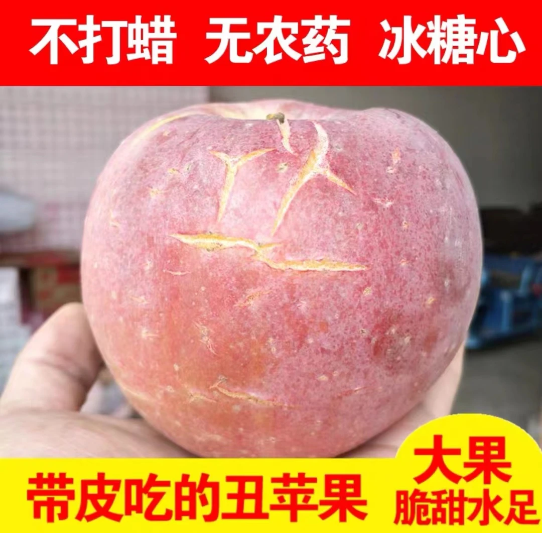 【坏果包赔】山西膜袋富士冰糖心苹果应季新鲜水果5-9斤丑苹果多汁