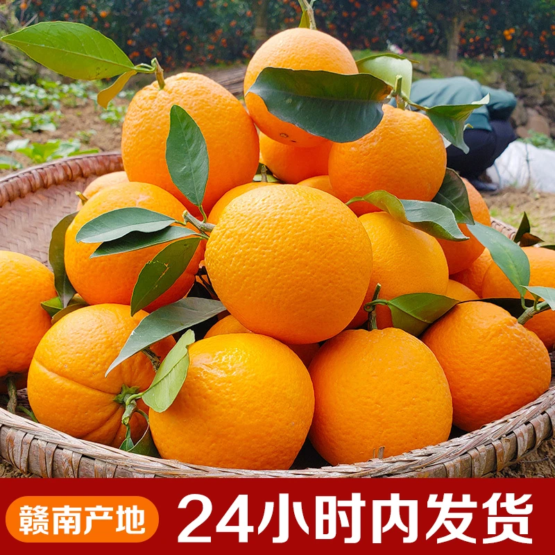 【坏果包赔】正宗江西赣南脐橙天然多汁应季橙味产地直发5斤带箱