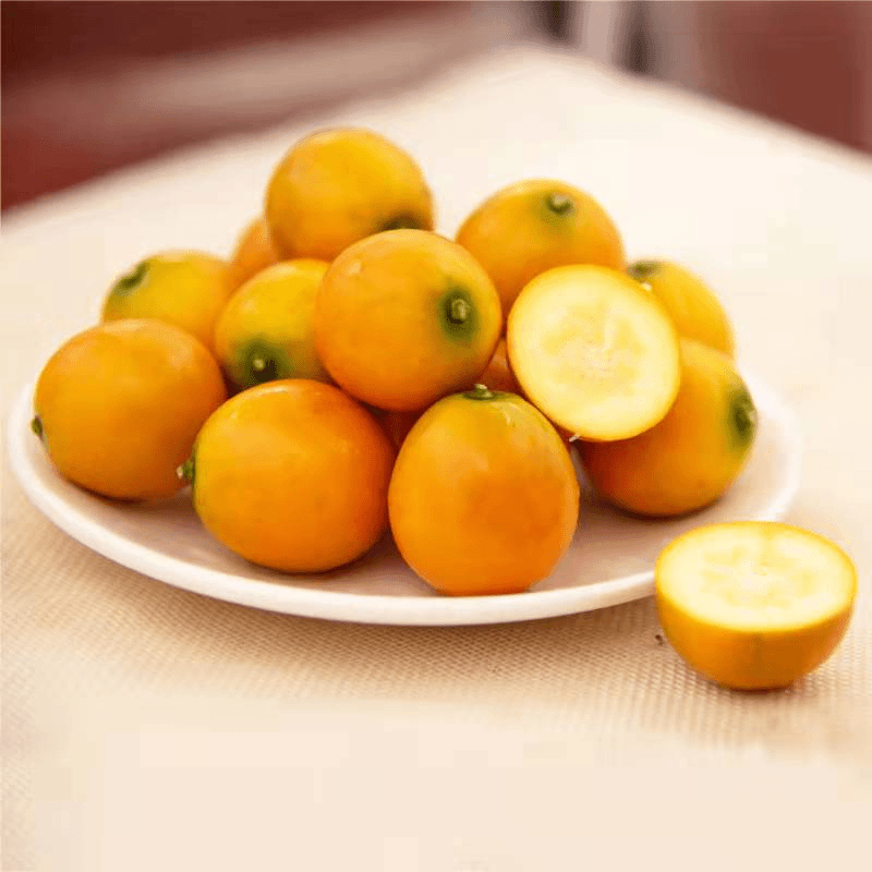 广西融安滑皮金桔脆皮糖心桔子脆蜜金柑甜小橙子橘子现摘水果2斤