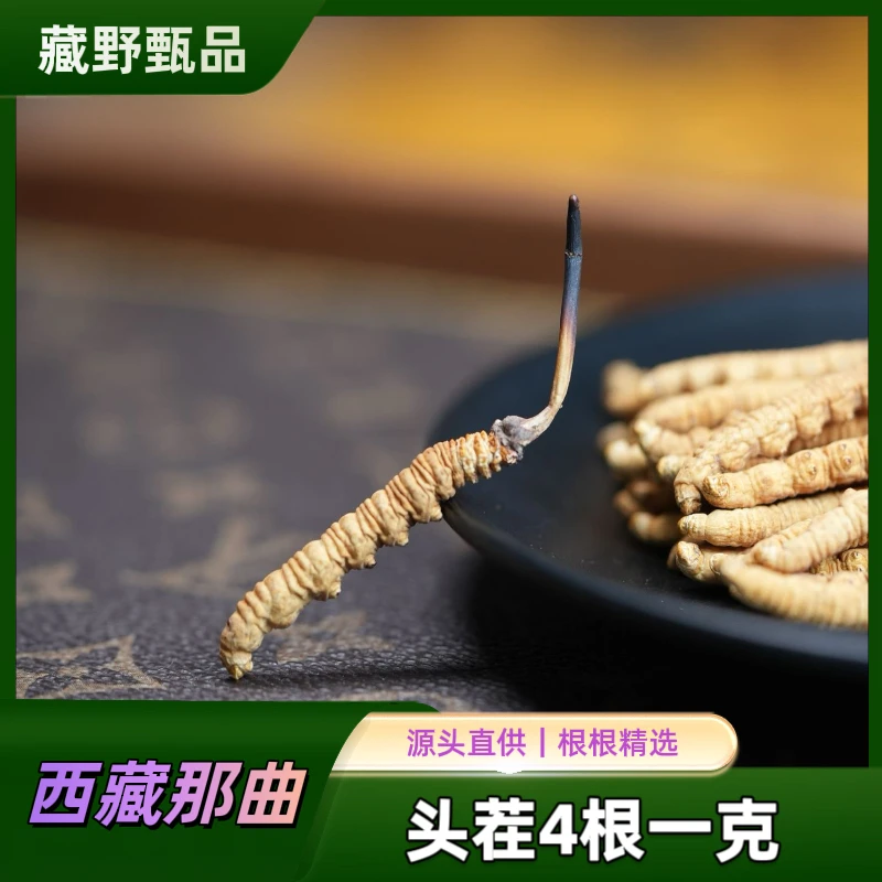 西藏那曲头茬冬虫夏草             ★性价比款★