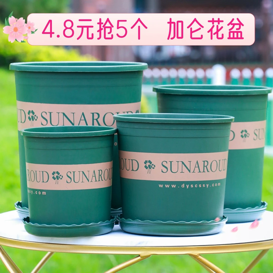 4.8元抢5个加仑花盆大号绿萝盆栽加厚小花盆阳台月季玫瑰塑料花盆商品图