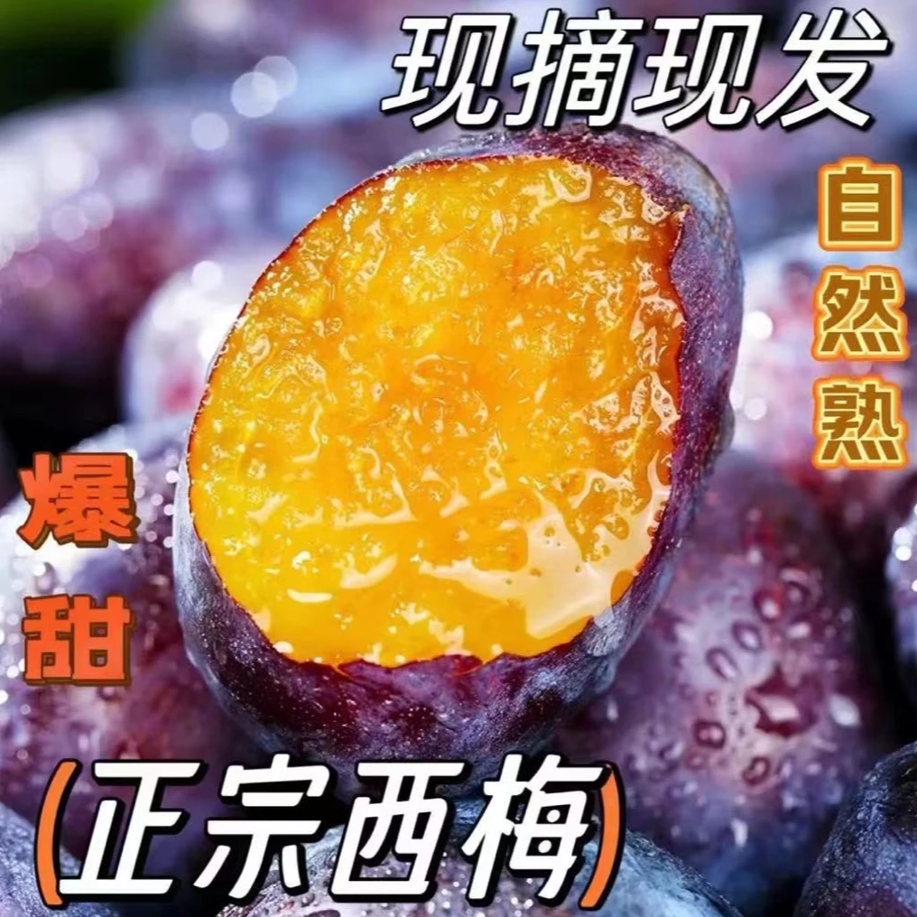 甘肃天水西梅（现摘现发）坏果包赔 净重3斤