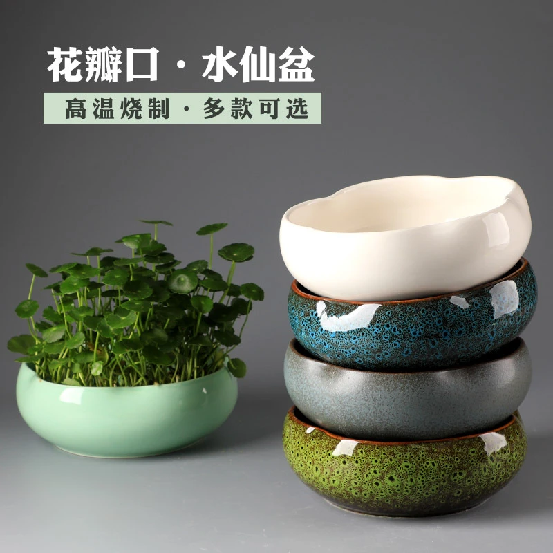 水仙盆陶瓷铜钱草花盆水培睡莲多肉碗莲专用盆家用陶器金钱草大