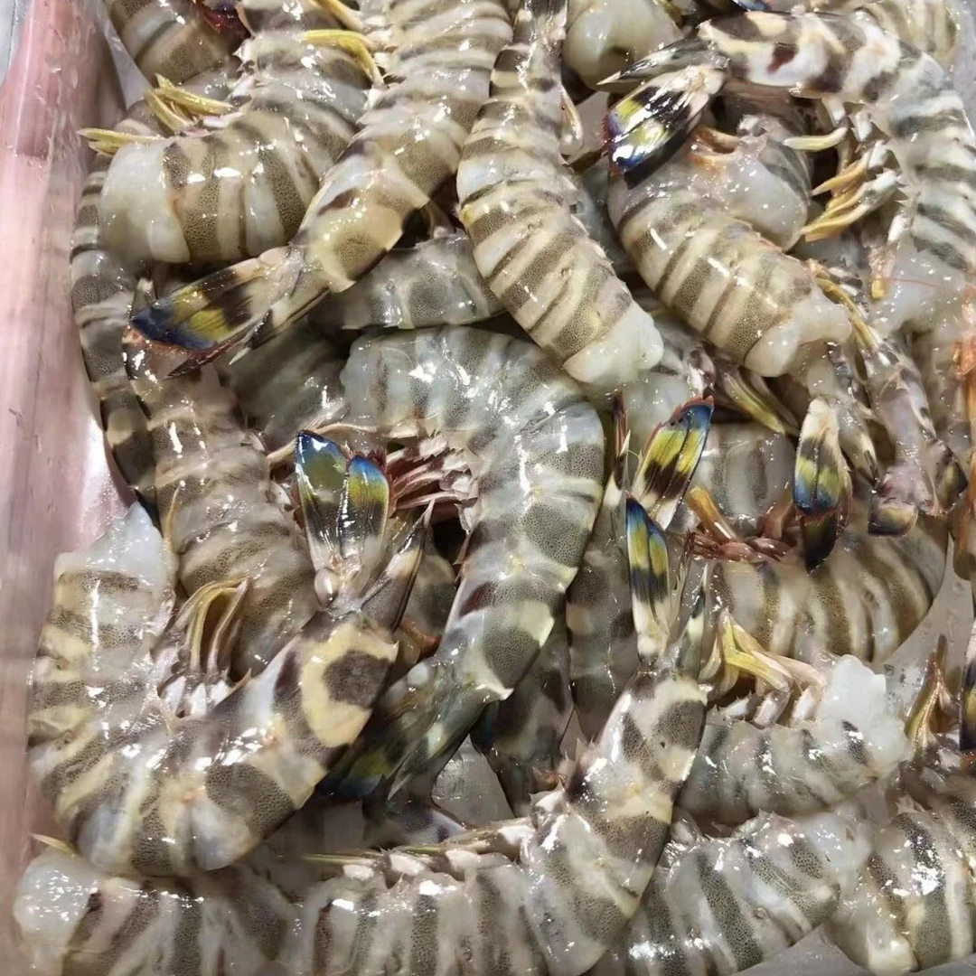 【鲜出海大虾尾/超划算】宁波石浦海鲜东海海捕竹节虾斑节虾虾尾2斤