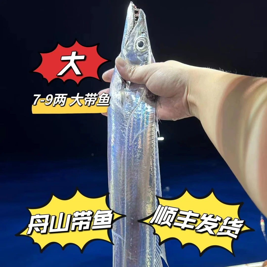 【4-7两/条热销款】东海宁波舟山带鱼东海钓带鱼鲜小眼睛海鲜油带鱼