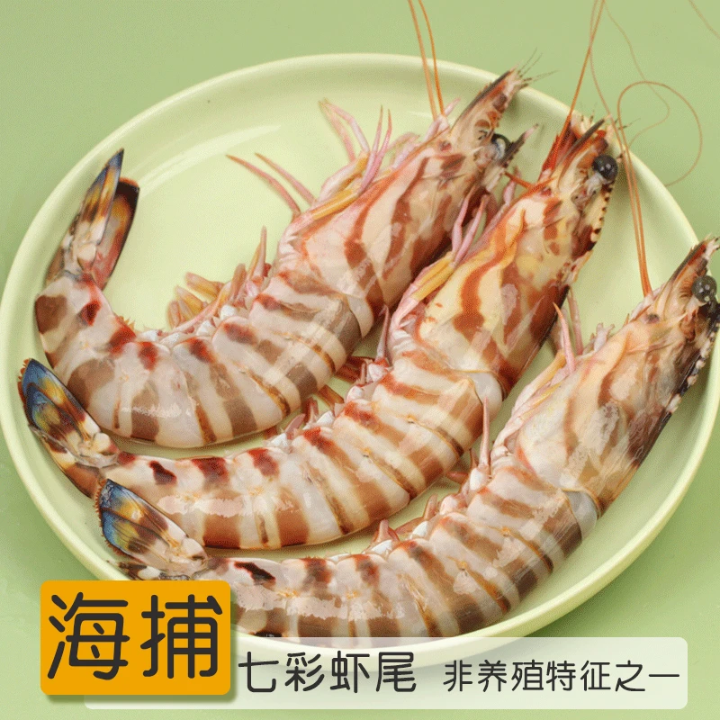 【鲜出海特大竹节虾/点这里】东海海捕本地大海虾花虾九节虾竹节虾