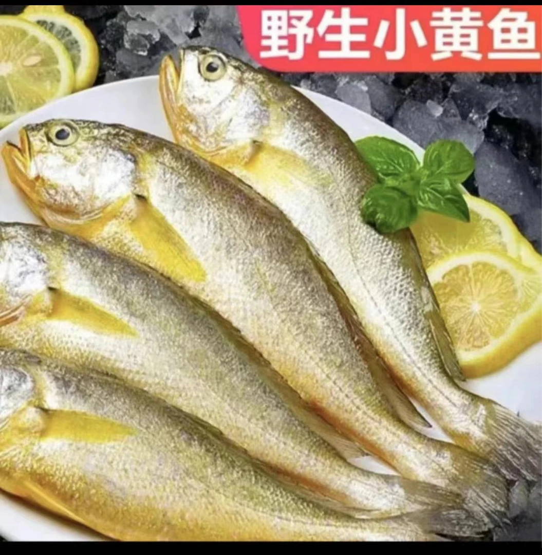青岛本地海捕黄花鱼4斤（青岛市内鲜发）