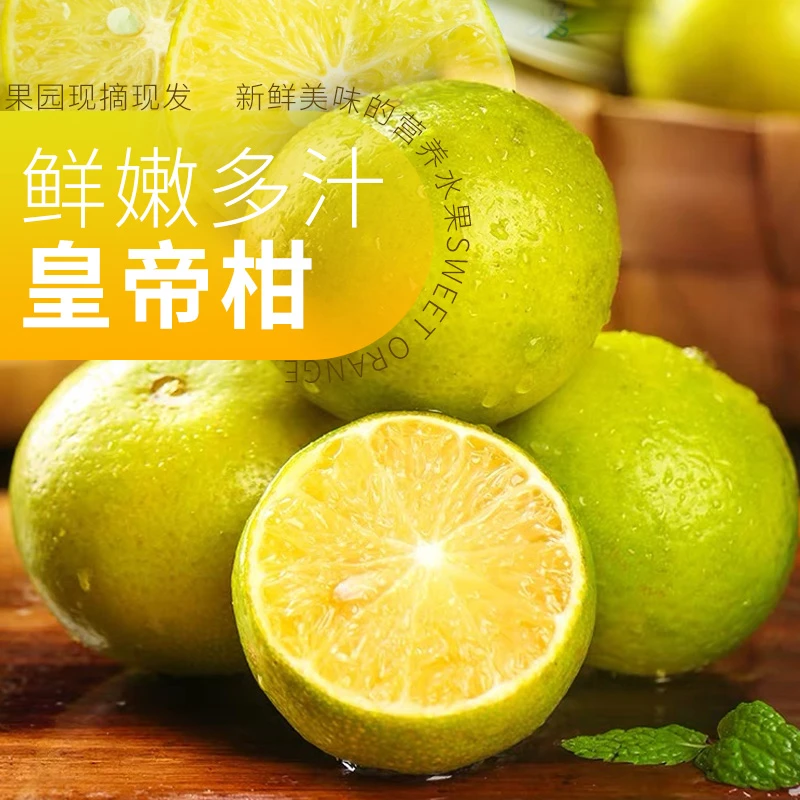 【坏果包赔】广西皇帝柑 隆安鲜嫩肉厚采摘香甜皮薄多汁发货