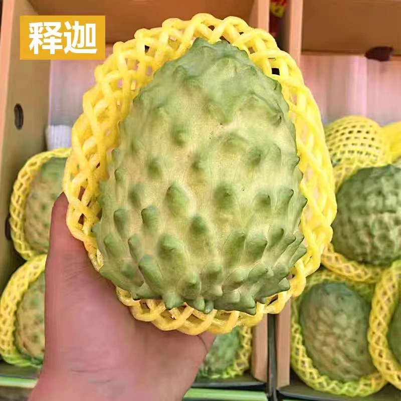 广西老树凤梨释迦3斤中大果新鲜采摘热带水果皮薄香软糯可口香甜