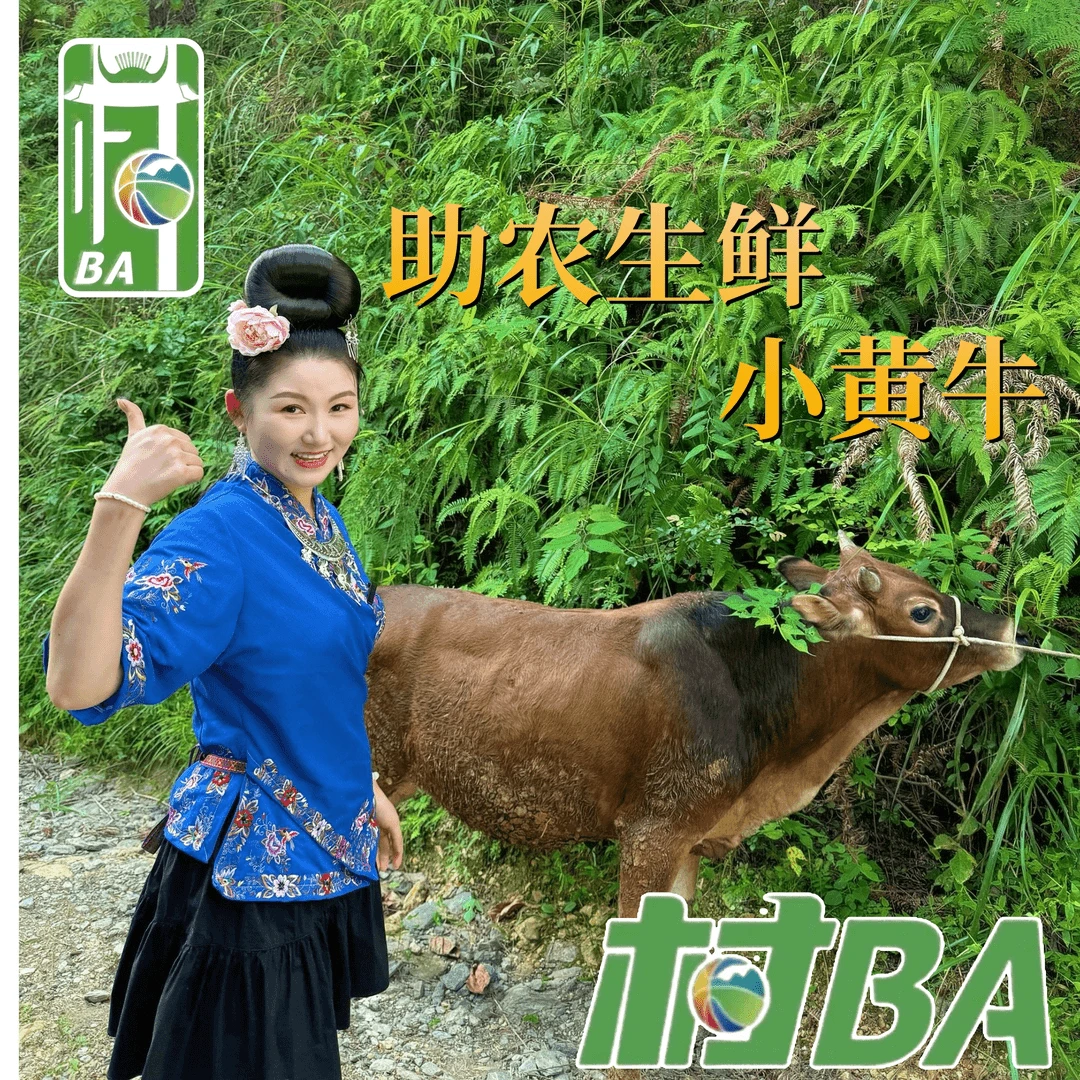 【我的村 现宰小黄牛】现切新鲜牛肉正宗带皮牛腿肉里脊后腿腱子