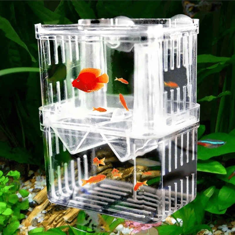 Y水族鱼缸繁殖孵化亚克力孔雀鱼小鱼苗幼鱼产卵分离产房隔离盒