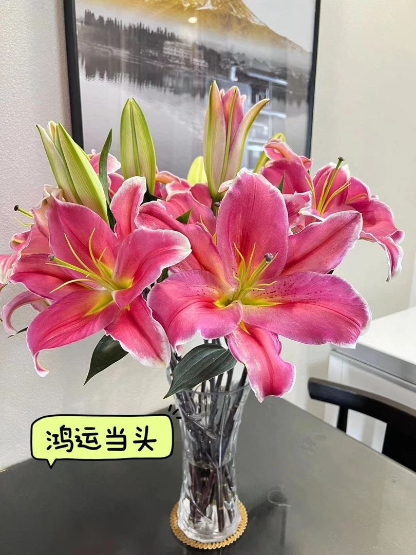 【老王家的鲜花】鸿运当头香水百合  冻坏不售后