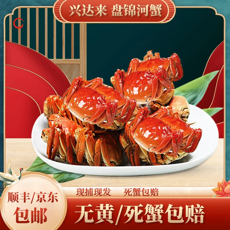 【活蟹】盘锦河蟹  母蟹（1.3-1.6两/只）2斤 只只手挑  顺丰京东包邮